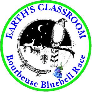 Bluebell Logo